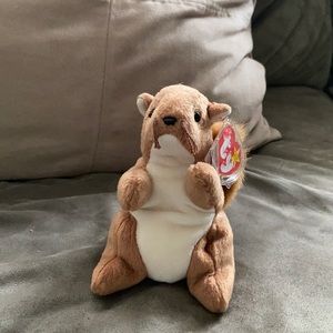 Nutty the squirrel beanie baby